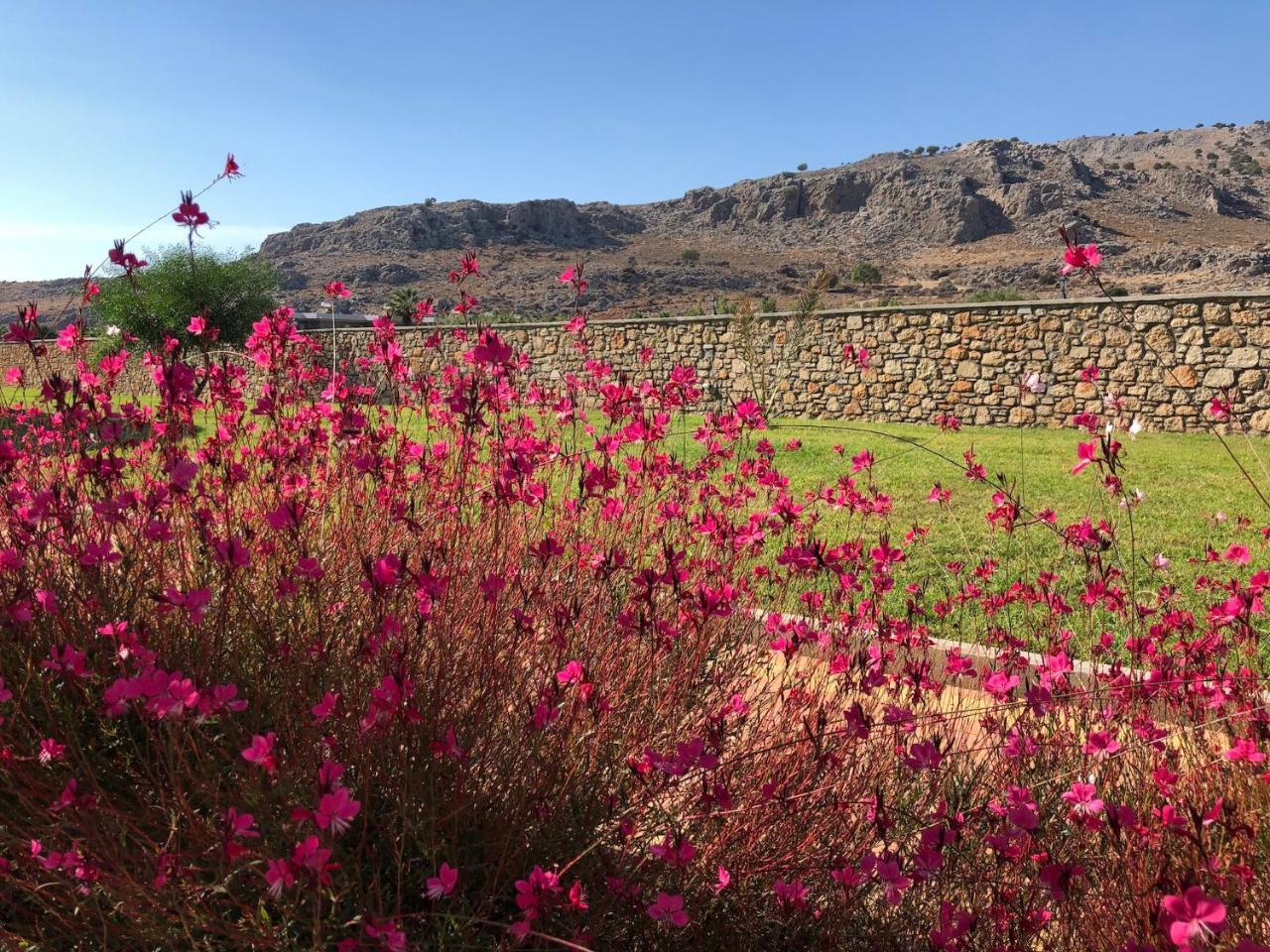 Estrella Villas لاردوس المظهر الخارجي الصورة
